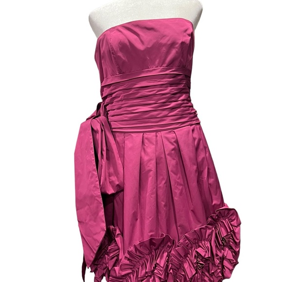 BCBG Maxazria Magneta Pink Ruffle dress size 8 - Picture 9 of 14